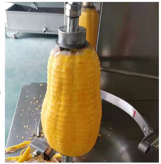 Automatical Pumpkin Pineapple Papaya Peeling Machine Supplier & manufacturers | Twesix