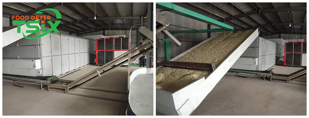 Twesix Fish Drying Equipment Installed In Oman twesix-fish-drying-equipment-installed-in-oman