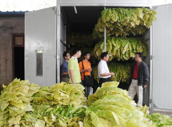 tobacco dryer for sale Energy-saving Tobacco Leaves Heat Pump Dehydrator
