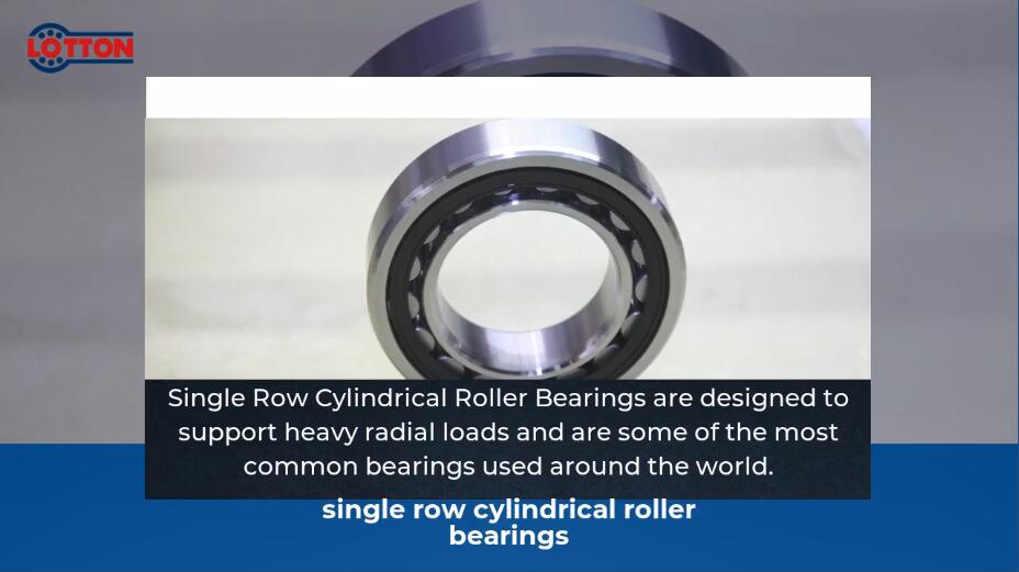 Best single row cylindrical roller bearings Supplier