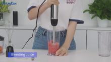 5 in 1 Stainless Steel Meat Grinder Egg Whisk Hand Immersion Blender