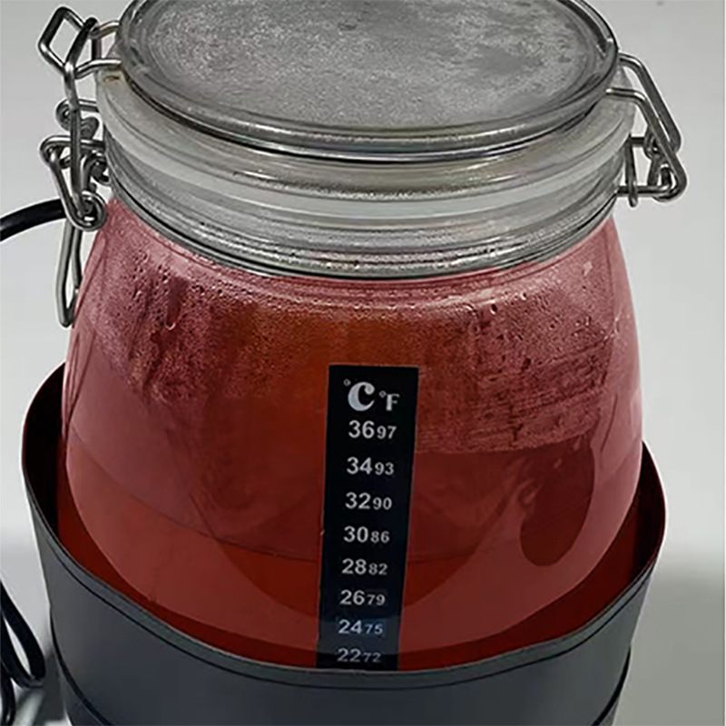 Yongli J19 Kombucha Starter Kit with Digital Temperature Controller