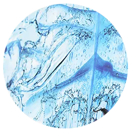 Heat Transfer Printing