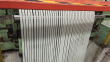 Prepainted Galvanized Steel Strip