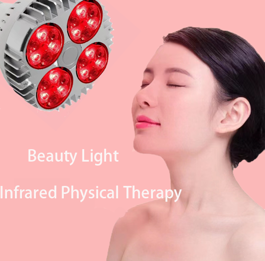 여성의 관리 비법 24W 45W 뷰티 램프 적외선 치료 램프