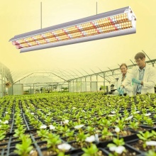 T8 36W 120cm double tube full spectrum plant growth light