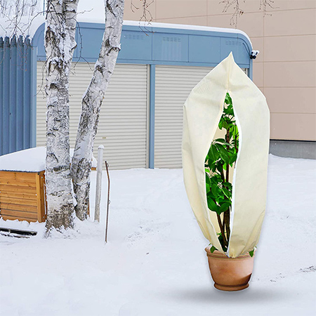 winter plant protection bag