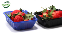 Professional High Barrier Custom Disposable Plastic Tray manufacturers