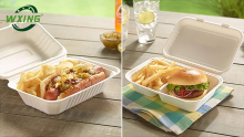 Disposable To Go Boxes, Take Out Containers