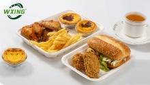Wholesale Takeaway Disposable Food Trays with good price