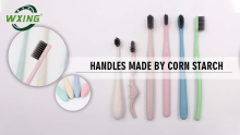 Professional Eco-Friendly Biodegradable Toothbrush Plastic Free manufacturers