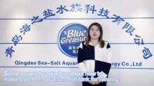 Best How to make a perfect aquarium sea salt fish tank for viewing? Company - Blue Treasure