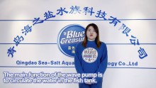 China what is a wave pump and What's it used for manufacturers - Blue Treasure