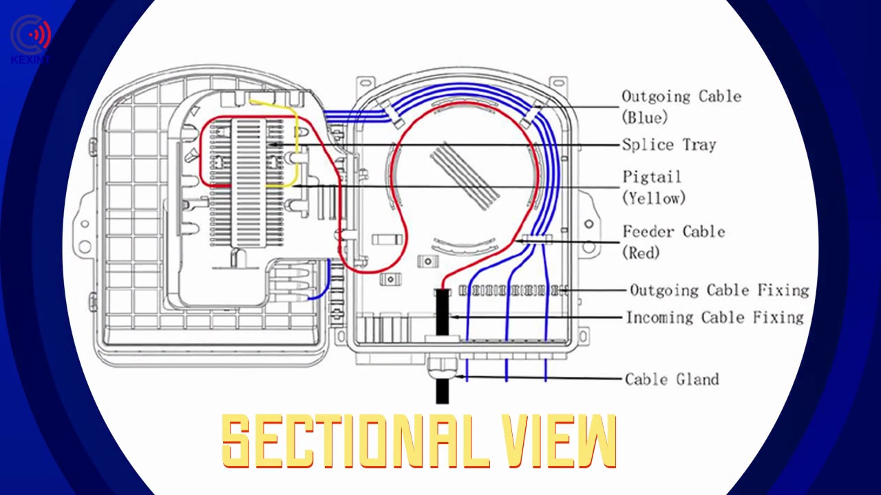 Sectional view.