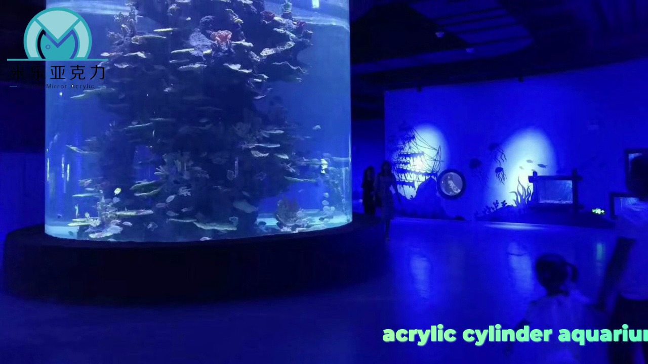 acrylic cylinder aquariums.