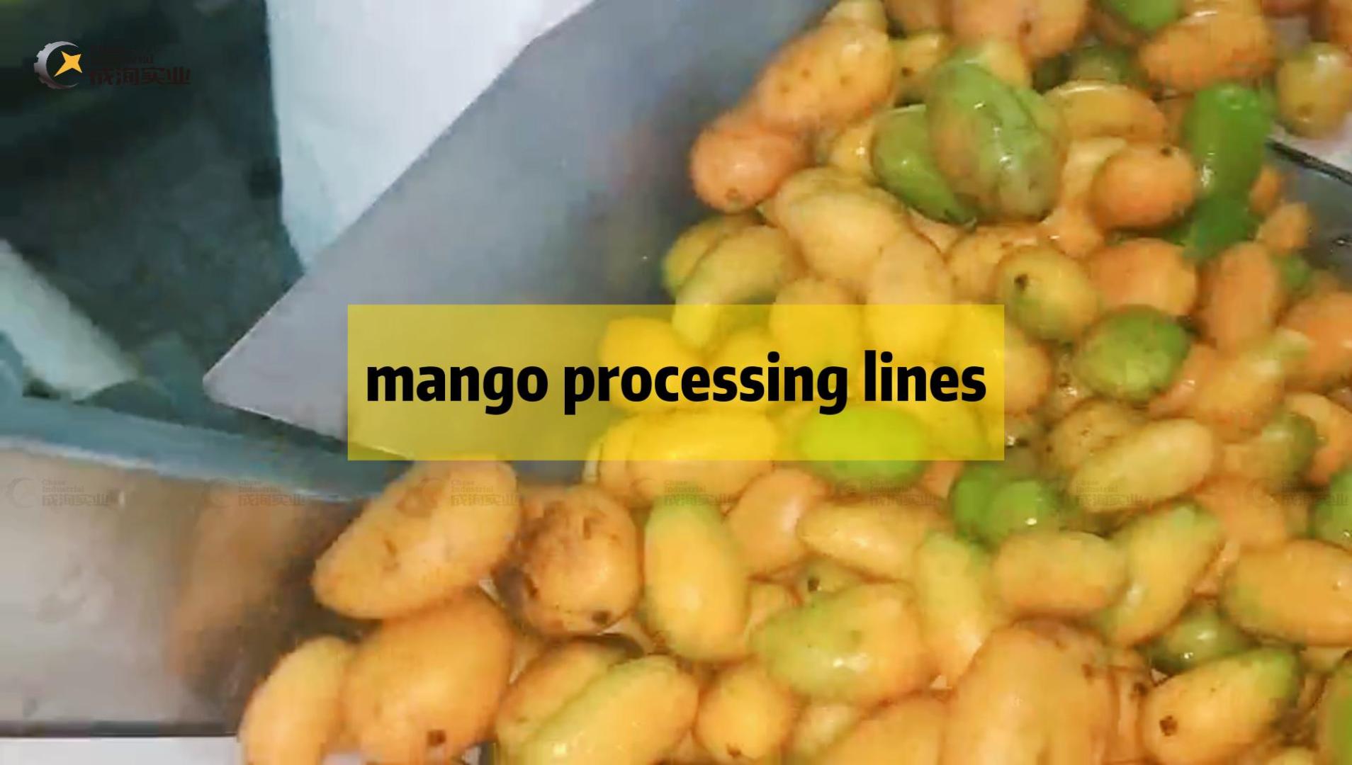 Mango hamuru üretim hattı