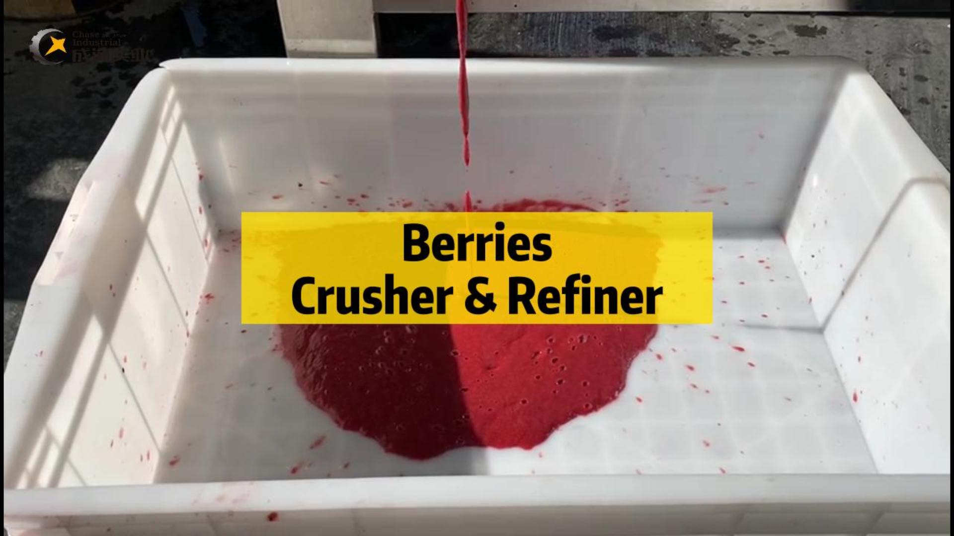 Professional Berries Crusher&Refiner manufacturers