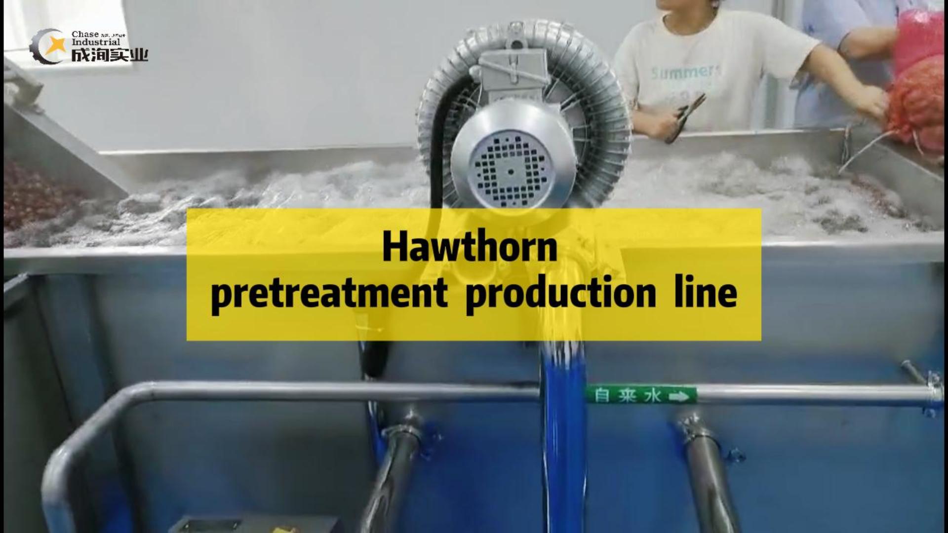 Hawthorn pretreatment  production  line