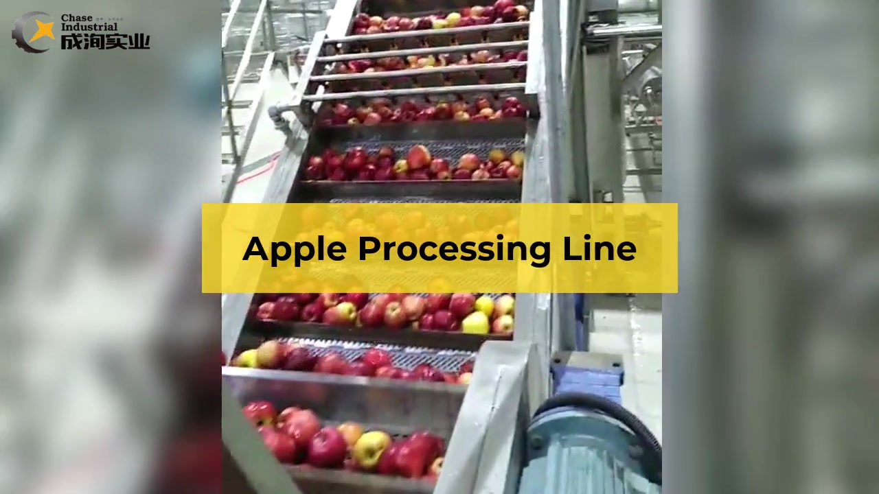 Dây chuyền cô đặc nước ép táo và dây chuyền chế biến nước ép trái cây và rau quả chất lượng cao và nhất quán từ Thượng Hải