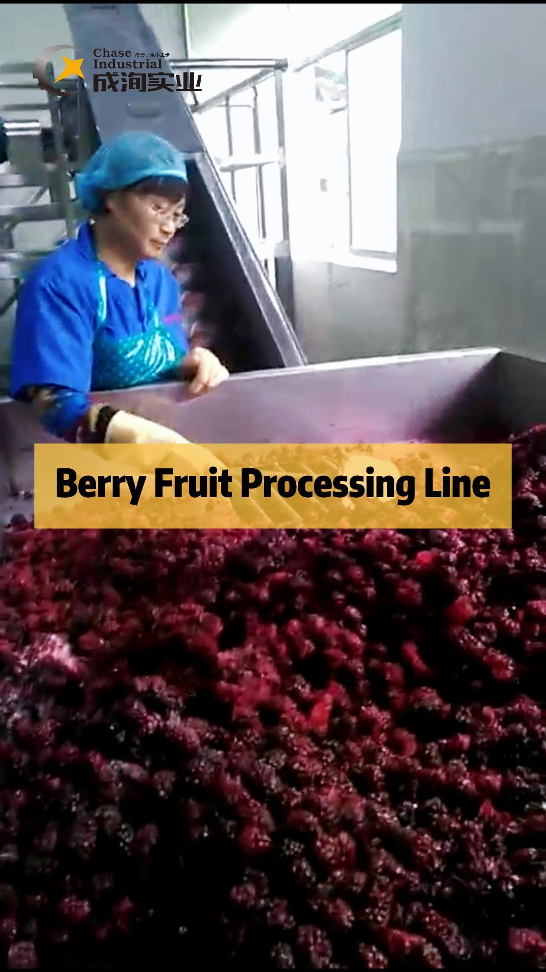 Berry Fruit Processing Line