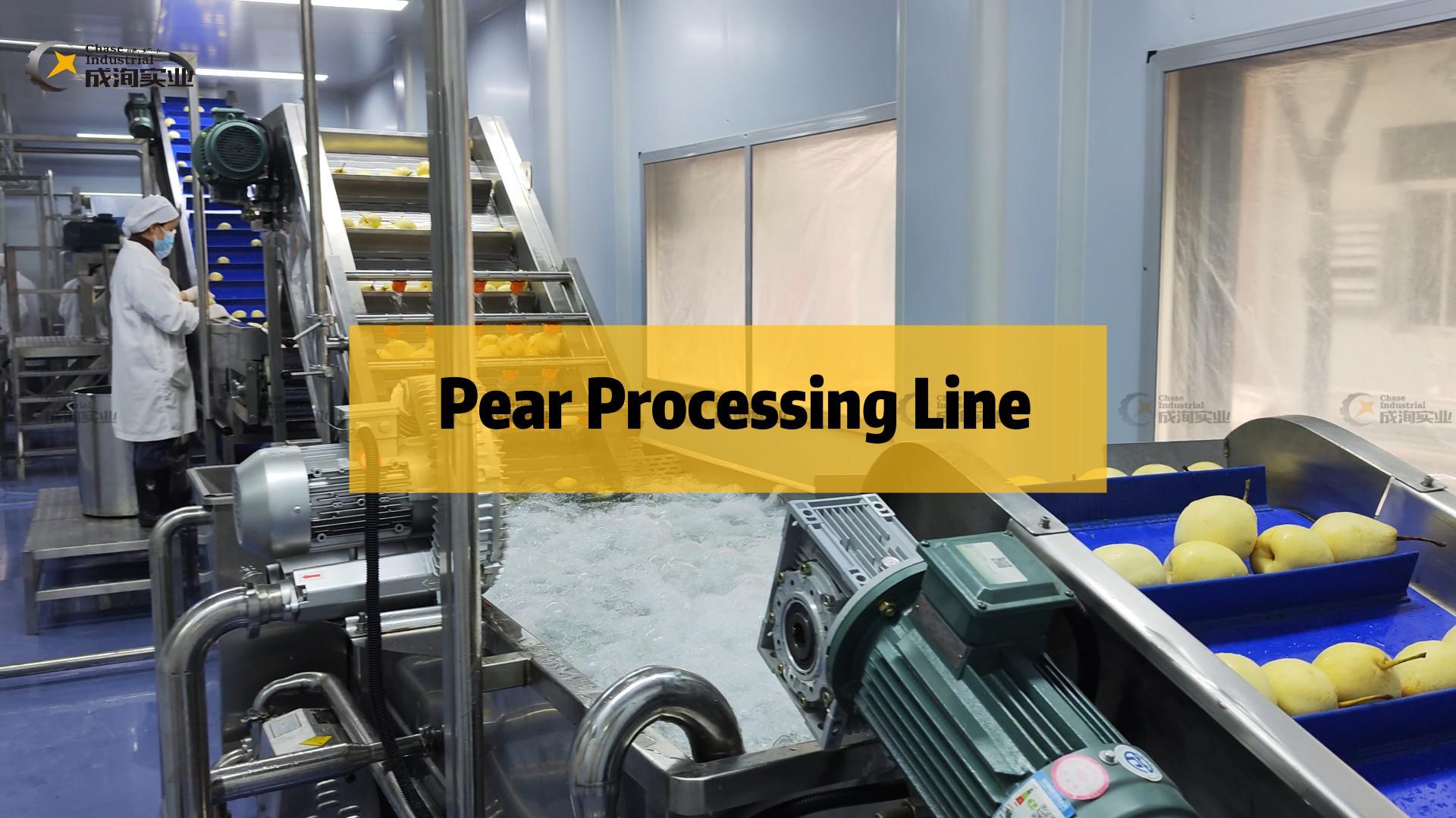 Best Best Quality Pear Processing Line Factory Supplier