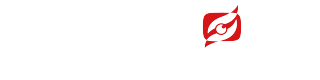 LS VISION