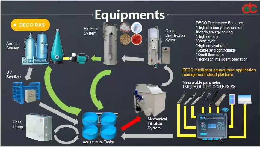 DECO RAS (Recirculating Aquaculture System)