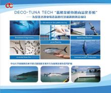 DECO RAS - A Glance of Our Projects
