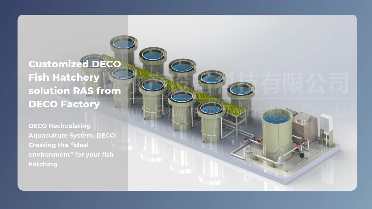 Customized DECO .Fish Hatchery .solution RAS from .DECO Factory.DECO Recirculating .Aquaculture System DECO.Creating the “ideal .environment” for your fish .hatching.