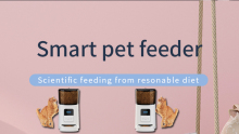 Wifi Smart Automatic Pet Feeder Voice Recording Auto Pet Food Dispenser 6L