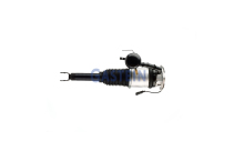 China Left Or Right Rear Air Suspension Systems For Audi A8D3 manufacturers - Gastein