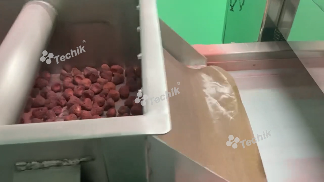 Frozen Strawberry Fruit X-ray Inspection System