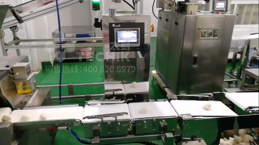 Techik Inspection Machine Rejecter System