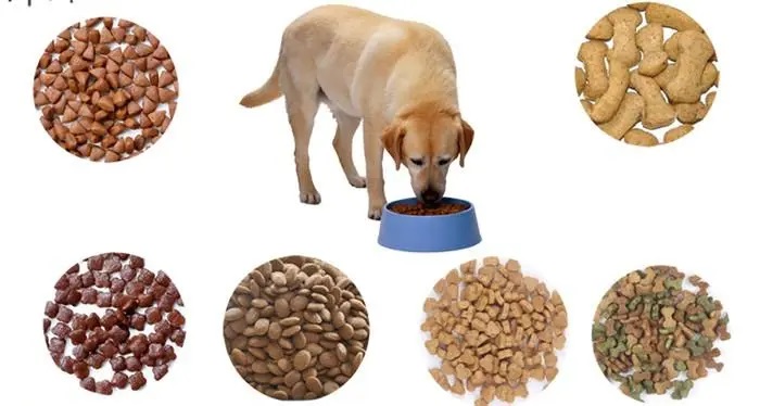 Pet Food Inspection and Sorting Equipment Color Sorter