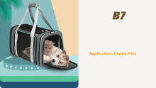cat carrying bag dog carrier travel pet shoulder bag