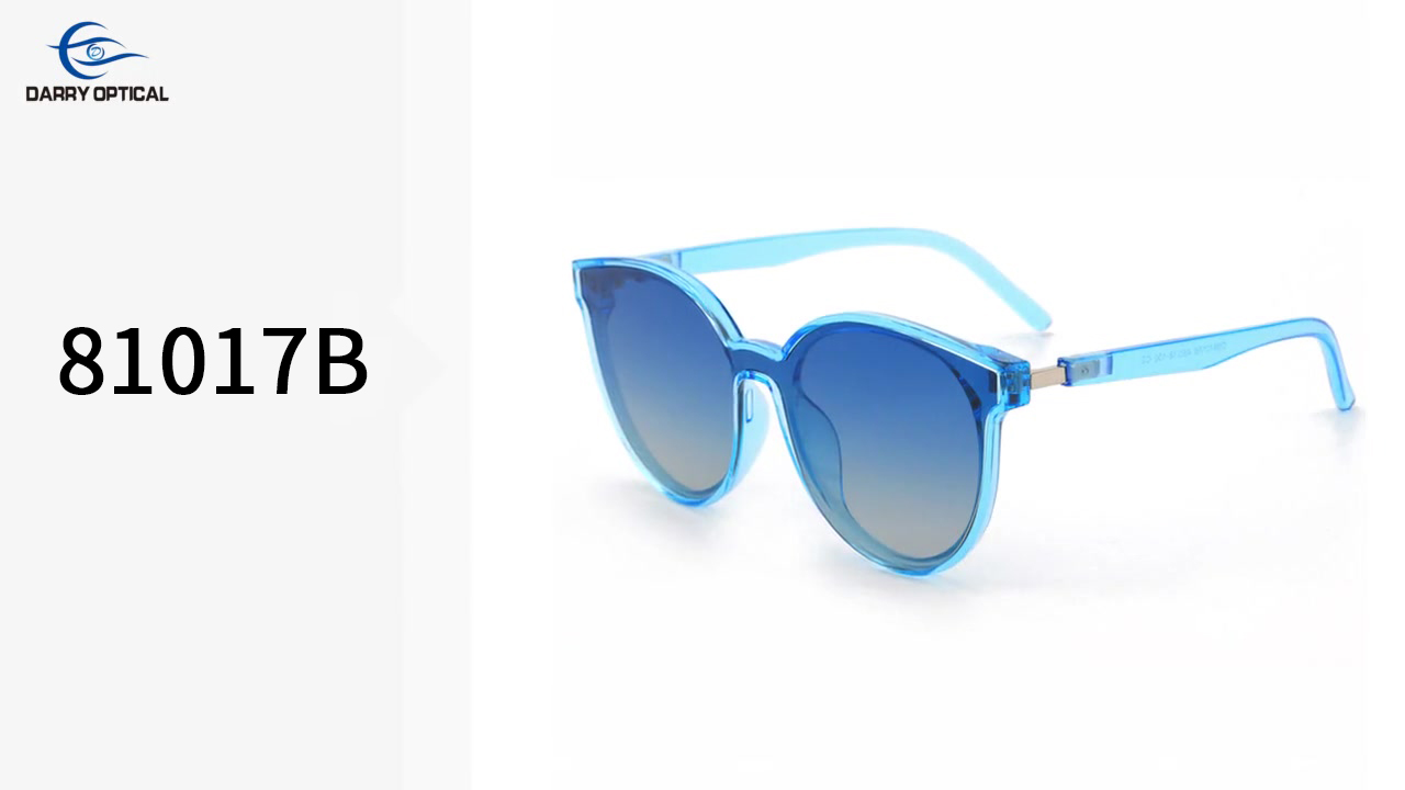 Polarized Sunglasses DR81017B UV400 Protection sunwear Darry Optical Products | Darry Optical