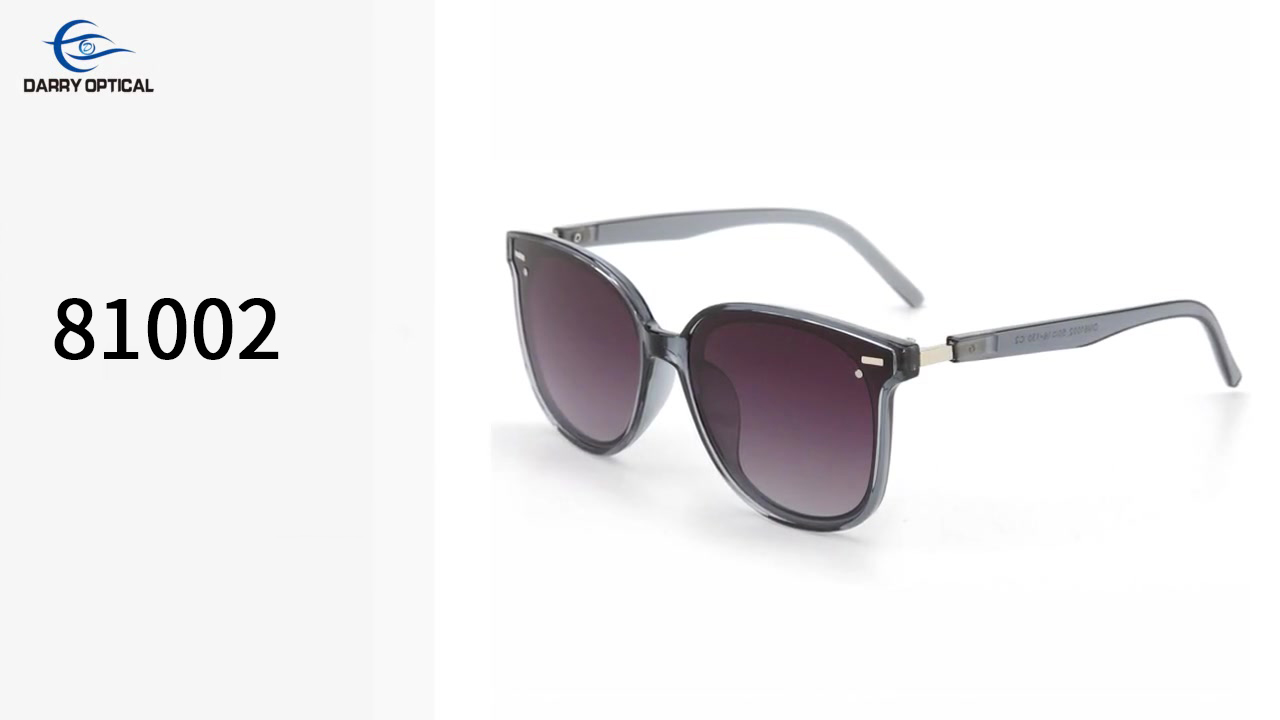 China Sunglasses TR-90 81002 manufacturers | Darry Optical