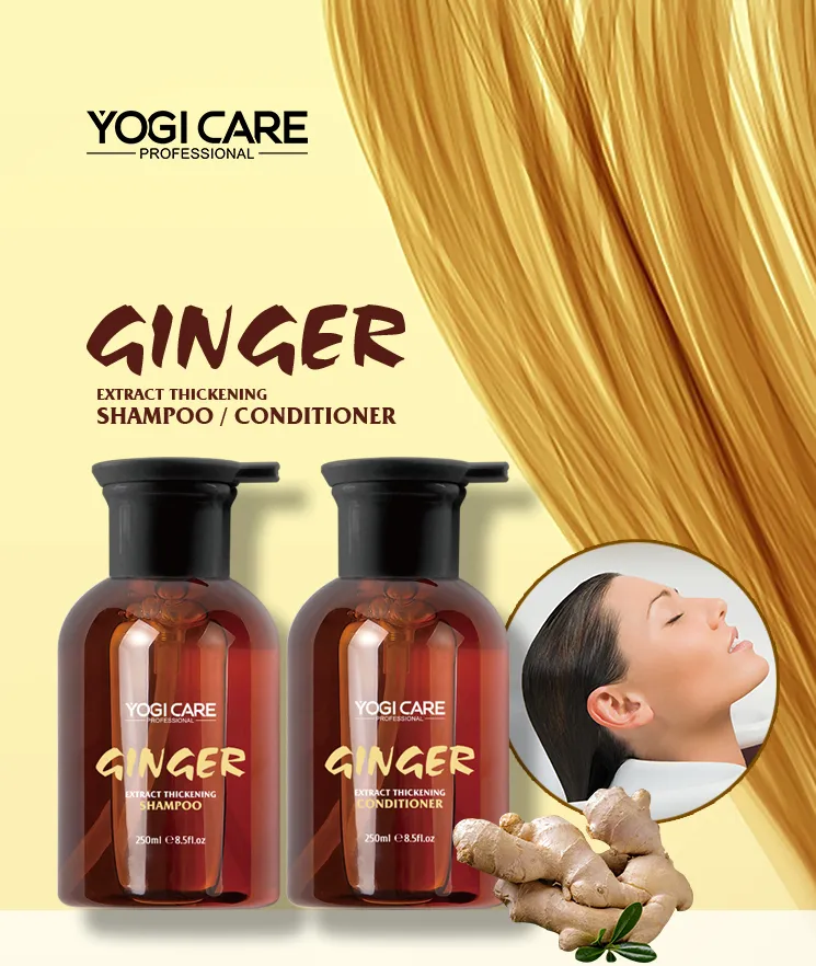 生姜シリーズメーカーとサプライヤー | YOGI Care