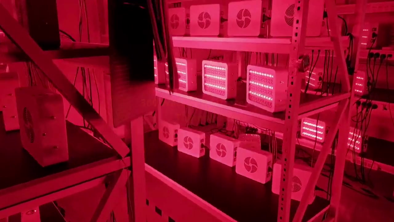 Panel de terapia de luz infrarroja roja de 300 vatios