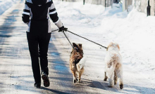 Omissa Dog Leash with Dual Doggie Gel Rope Leash for two dogs