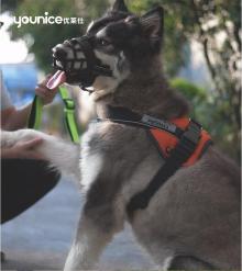 Omissa Dog Collar Harness Leash Set Wholesale Ins Hot Sell