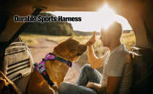 Omissa halti harness dog light for harness Factory Manufacturer