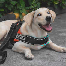 Omissa Dog Harness ezydog click adjustable dog car restraint