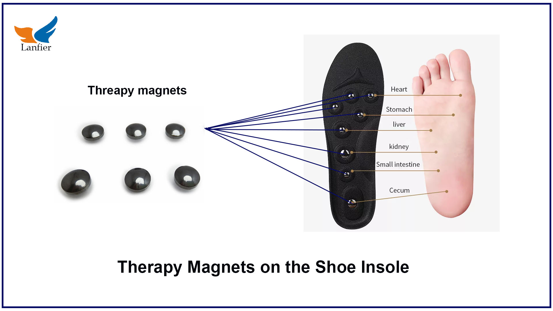 Therapy for Shoe Insoles Lanfier Factory