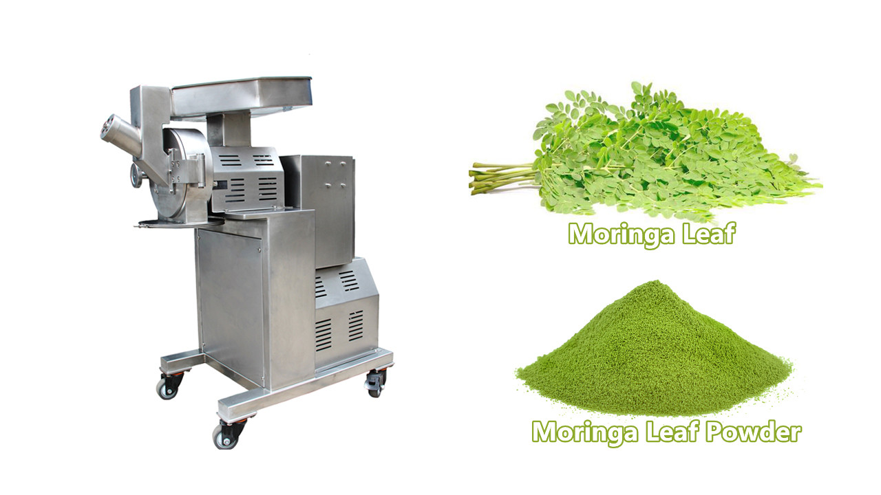 Moringa Leaf Grinding Machine Small Hammer Mill Herbs Powder Pulverizer