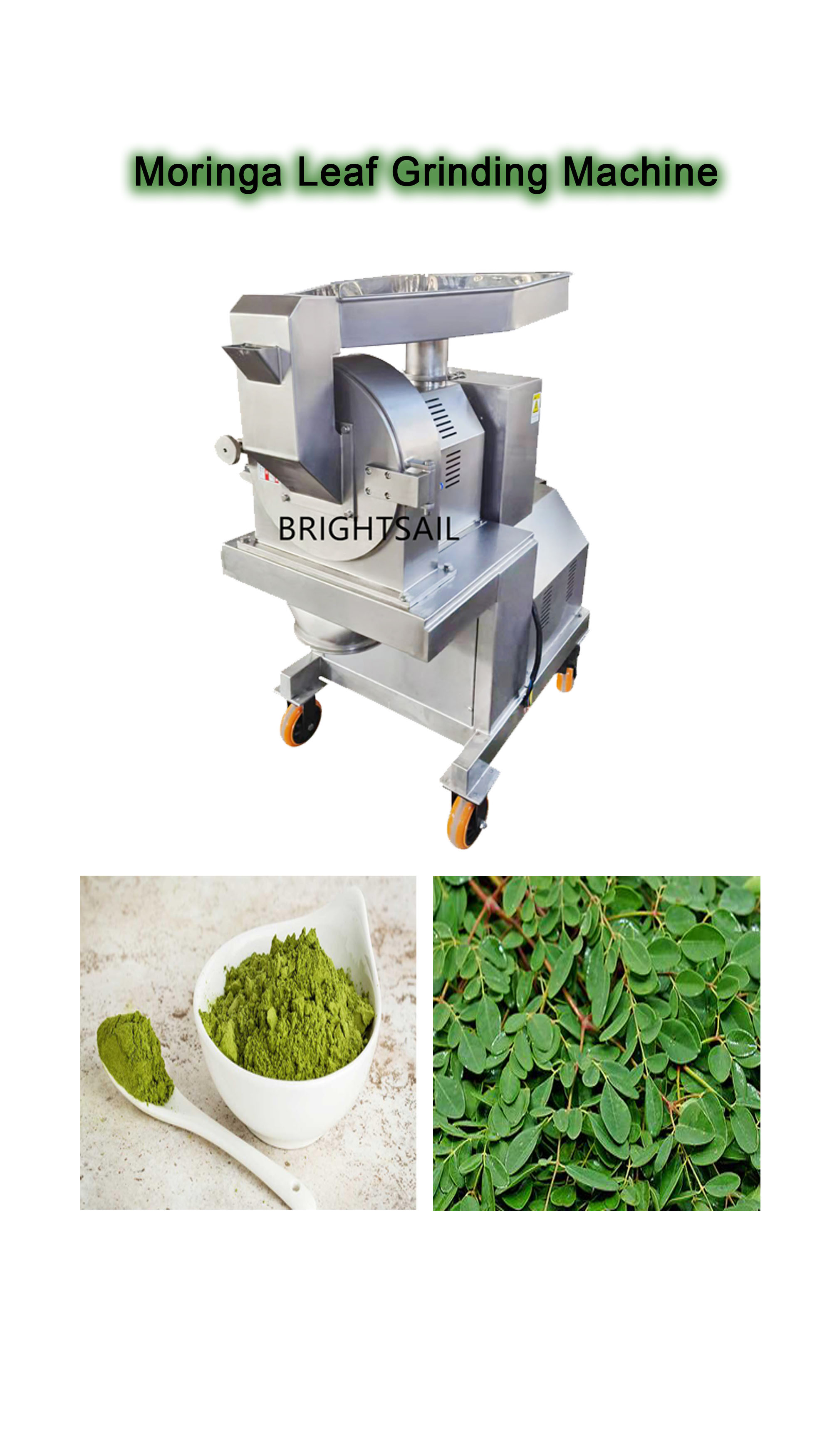 Moringa leaf hammer mill