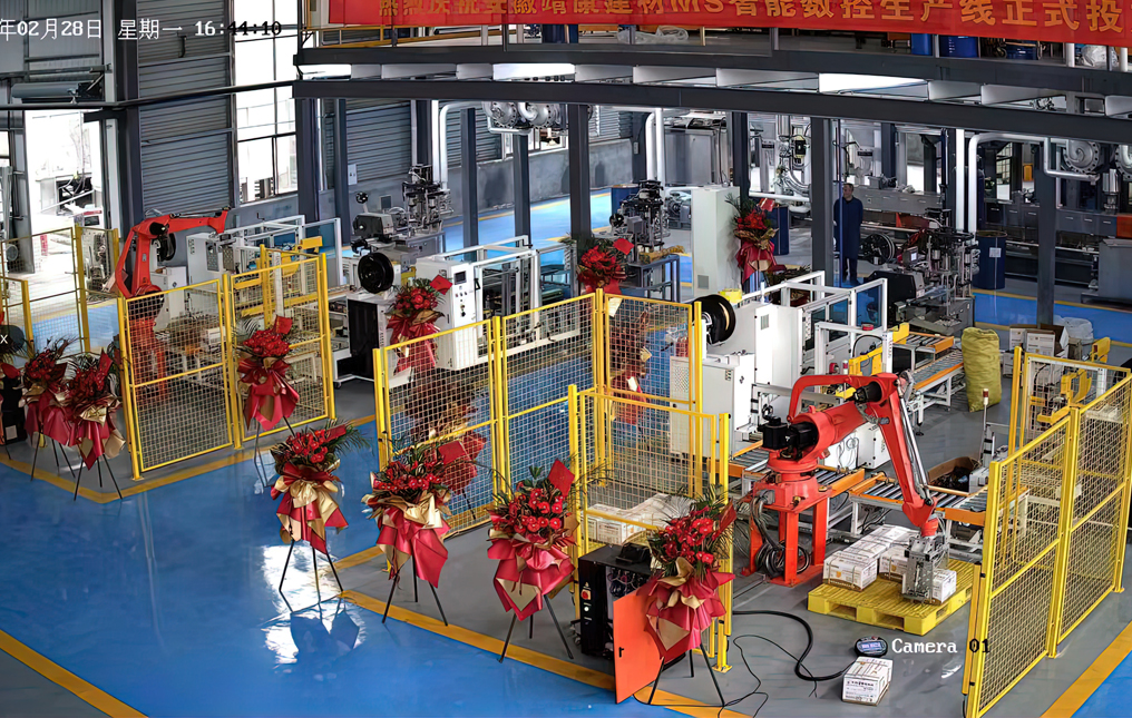full automatic packaging system