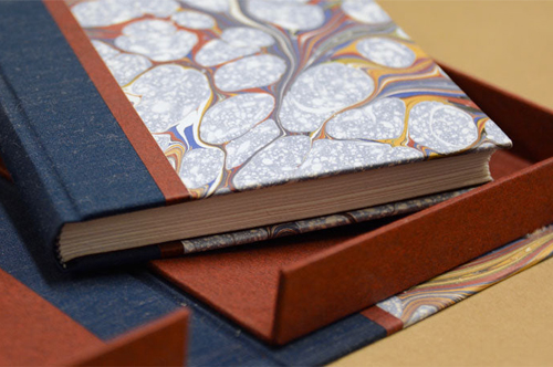 hmpsa book