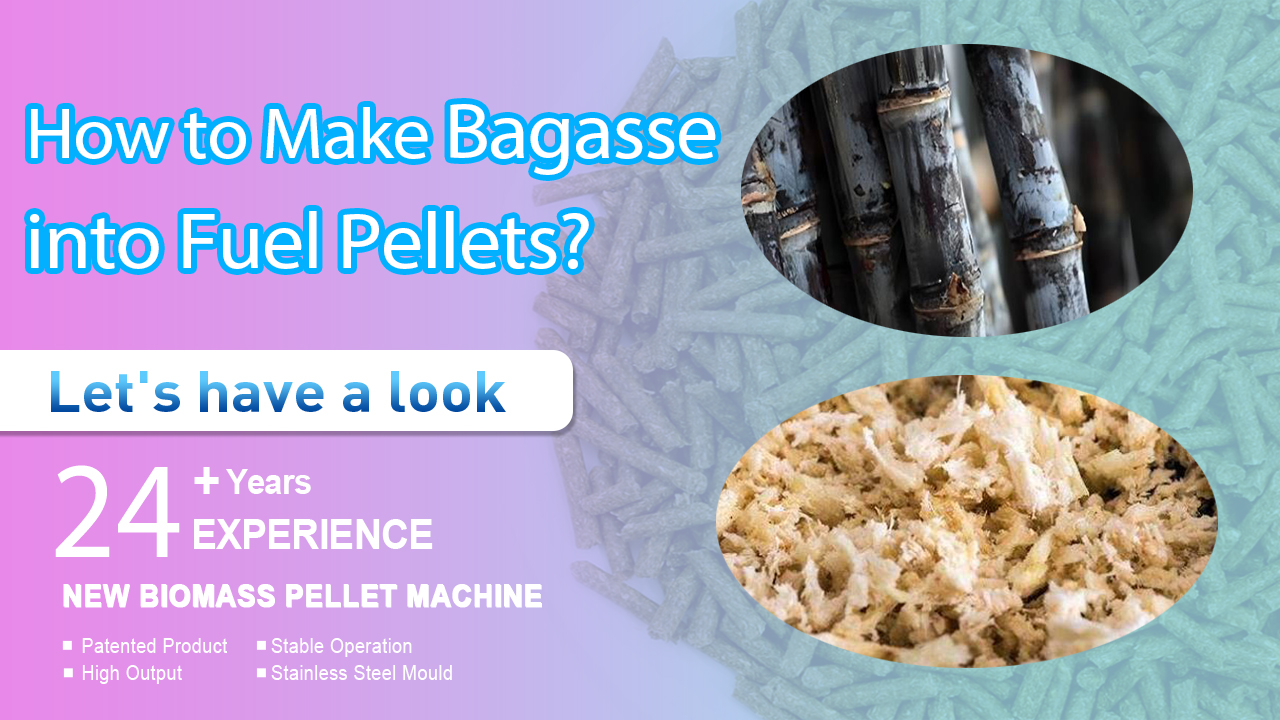 How to Make Bagasse into Fuel Pellets? - Biomass Equipment Supplier & manufacturers | YULONG