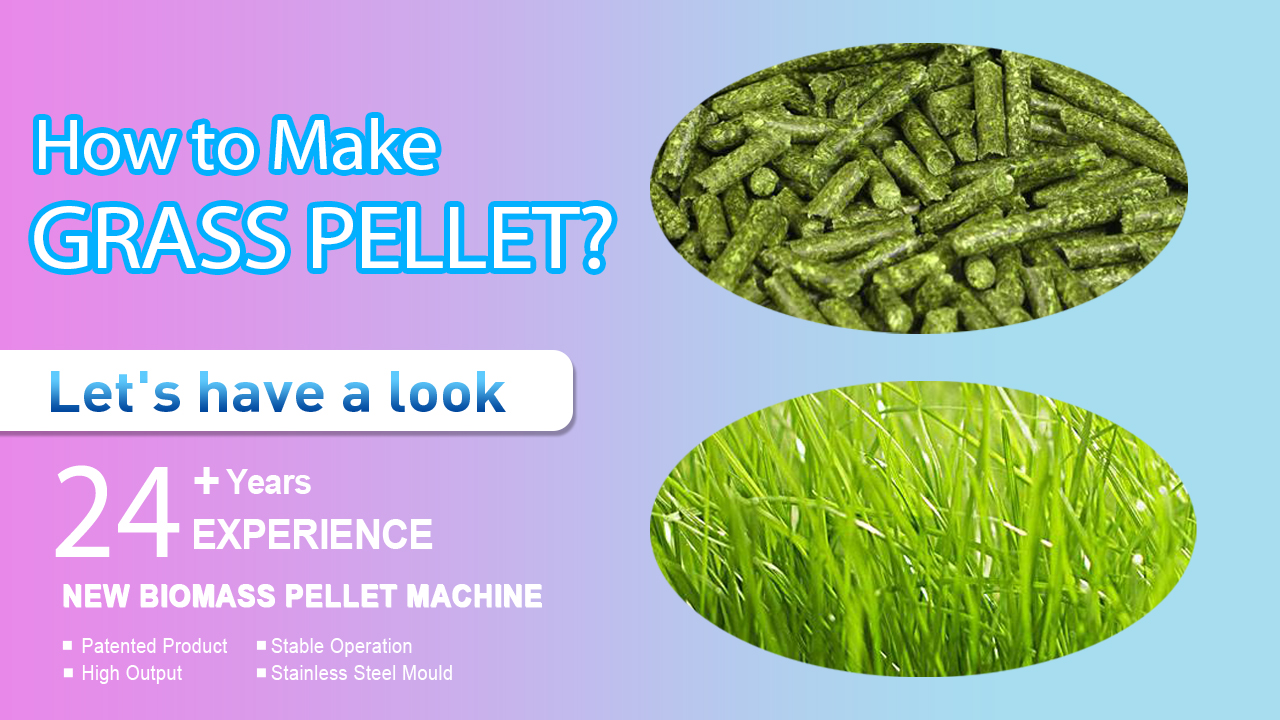 What are the Key Steps in Making GRASS into Grass Pellets?